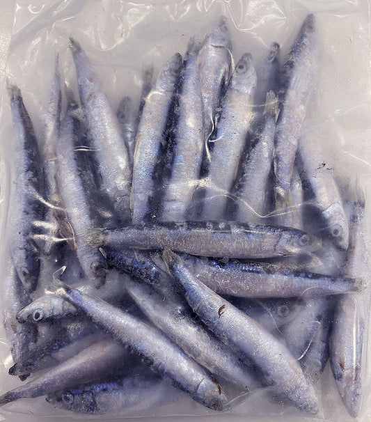 Blue Bait Small Pack Small