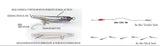 Little Jack Amezaiku JP Lure 45mm