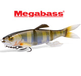 Megabass Magdraft Hasu Raver Swimbait