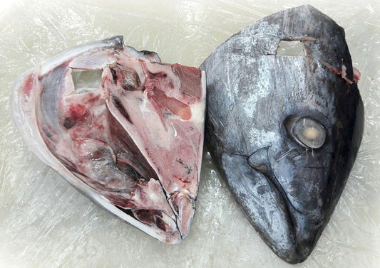 Tuna Head Bait
