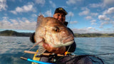CATCH STINGAZ TENYA JIGHEADS WITH ASSIST HOOK - REEL 'N' DEAL TACKLE