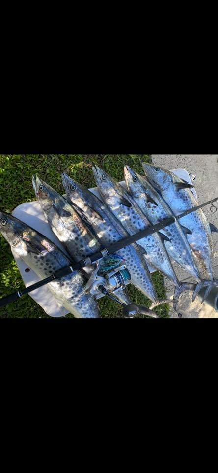 SPANISH MACKEREL TRACE PRE MADE RIG - REEL 'N' DEAL TACKLE