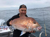 CATCH STINGAZ TENYA JIGHEADS WITH ASSIST HOOK - REEL 'N' DEAL TACKLE