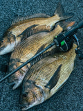 OKUMA ITX CARBON SPIN REELS - REEL 'N' DEAL TACKLE