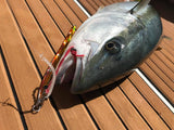 CATCH LONG JOHN SLIDER JIG 230MM - 200G - REEL 'N' DEAL TACKLE